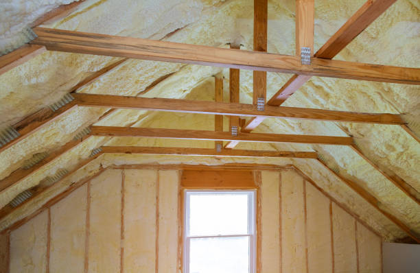 Best Cellulose Insulation in Royalton, IL