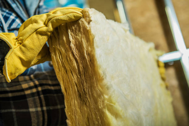 Best Eco-Friendly Insulation in Royalton, IL