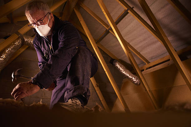 Best Commercial Insulation in Royalton, IL